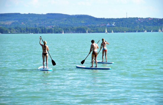 2 Hour Stand Up Paddle Boarding Intro & Tour