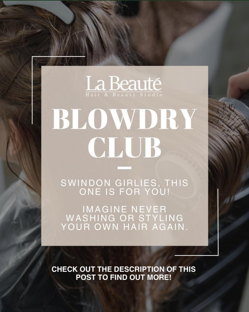 Monthly Blowdry Club - Extensions/Thick Hair