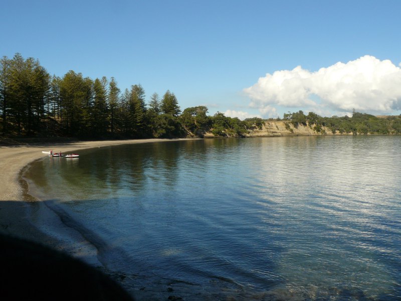 Motuihe Island Ferry - Adult Return 