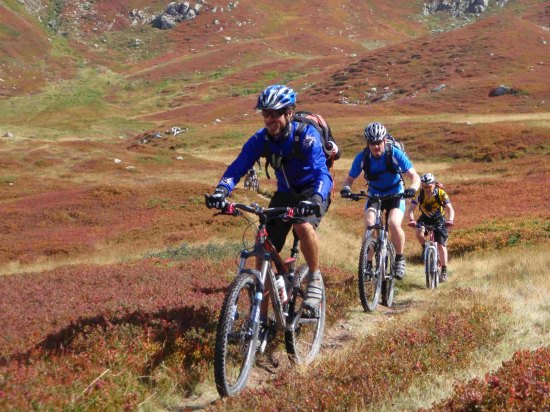 All day mountain biking including bike hire