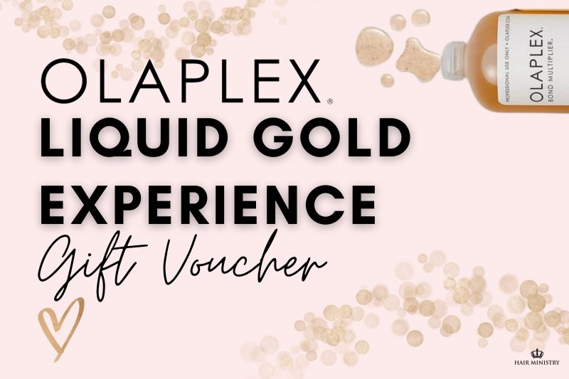 Olaplex Liquid Gold Experience Package