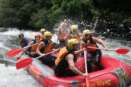 Rangitaiki Rafting Grade 3 - 4