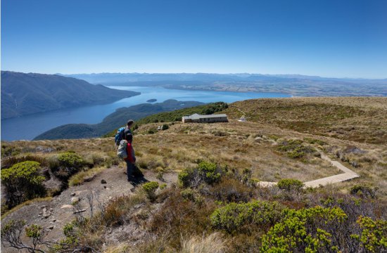 Fiordland HeliHike