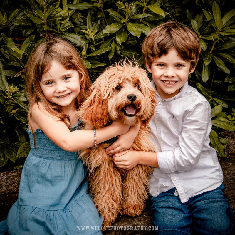 GIFT EXPERIENCE VOUCHER: 45m Studio or Forest Photoshoot + 5 Digitals