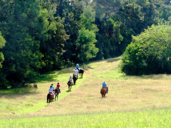 One Hour Horse Ride