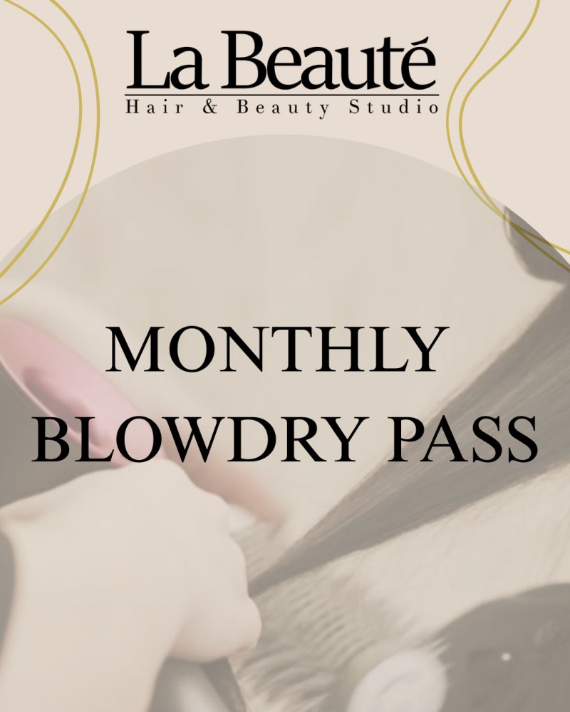 Monthly Blowdry Pass - Long/Thick Hair 