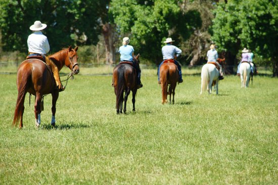 Horsemanship Riding Camp